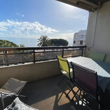 Avec Terrasse En Front De *